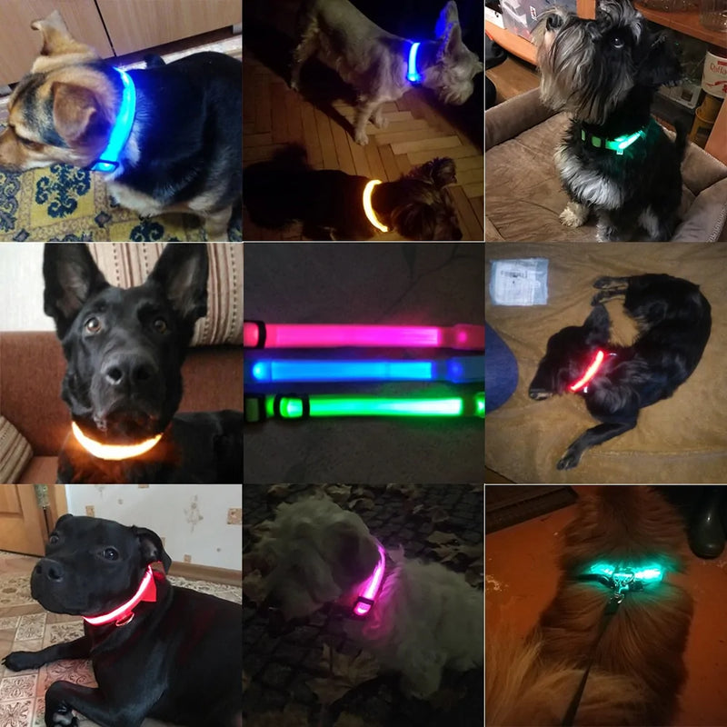 Led Dog Collar Anti-Lost Collar