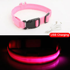 Led Dog Collar Anti-Lost Collar